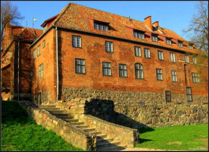 polish castle 1